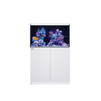 Reefer 250 G3